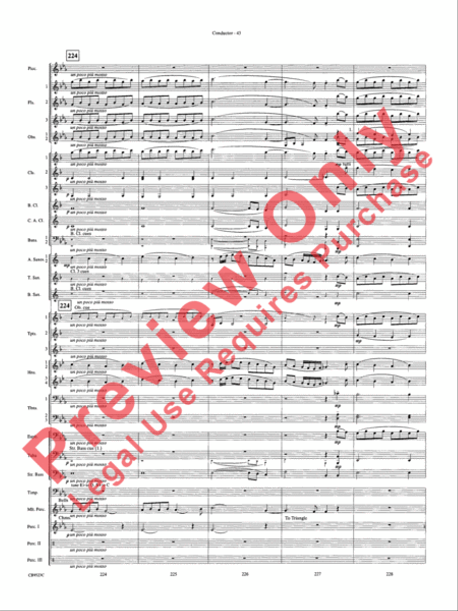 The Wizard of Oz Concert Band scores gallery preview page 46