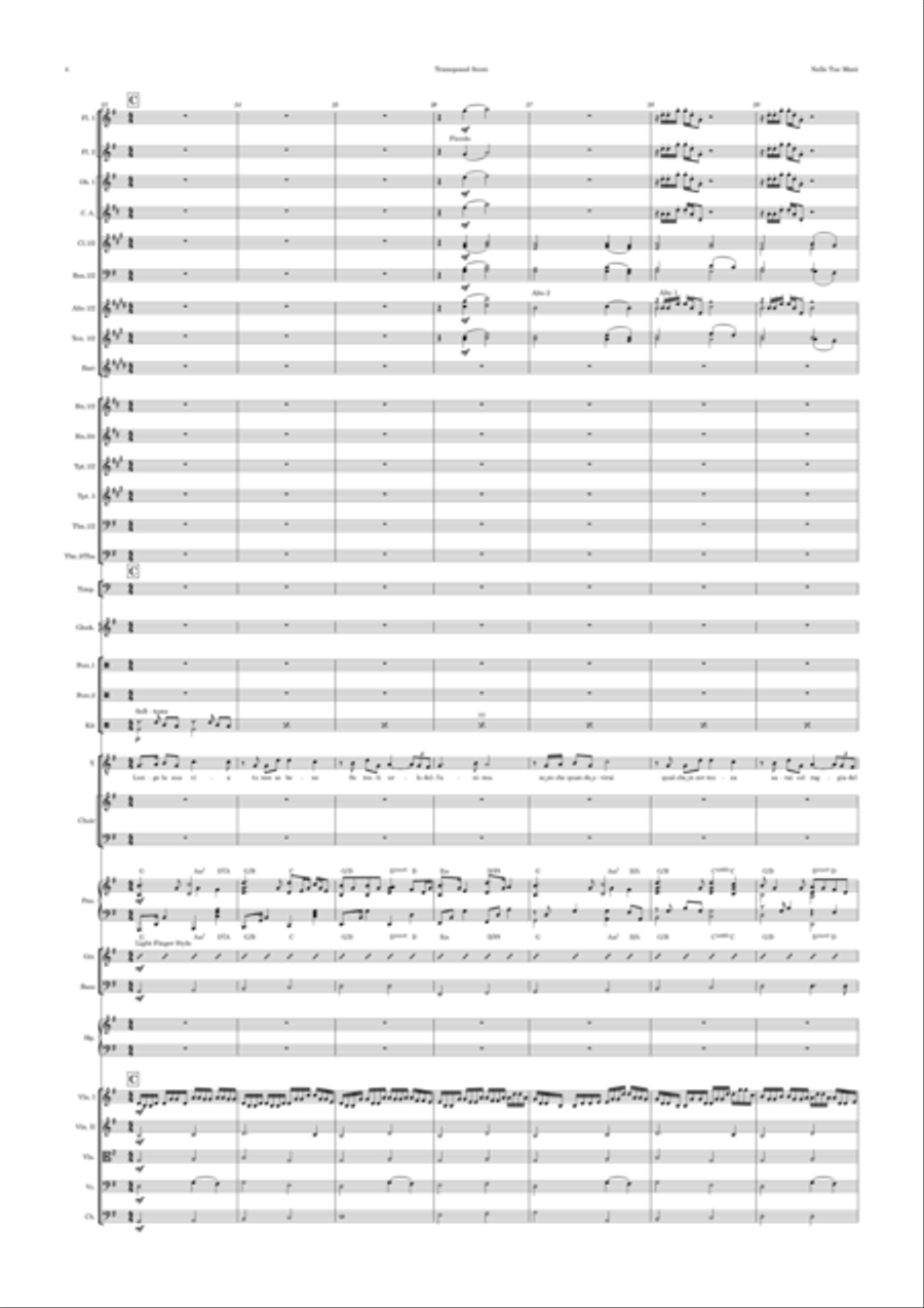 Nelle Tue Mani Full Orchestra scores gallery preview page 4
