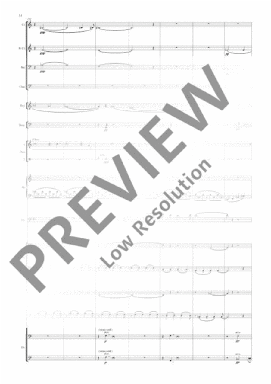 Double Bass Concerto Double Bass Concerto 3-Part scores gallery preview page 19