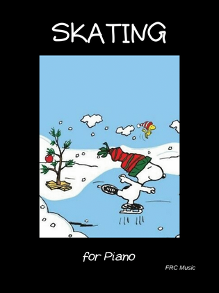 Book cover for Skating
