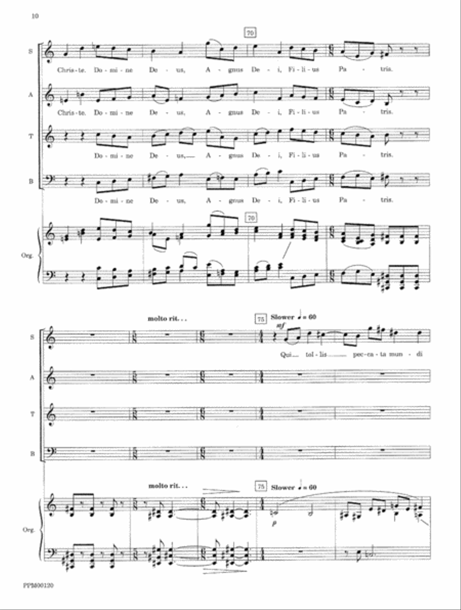 Transfiguration: An Ecumenical Mass Divisi scores gallery preview page 13