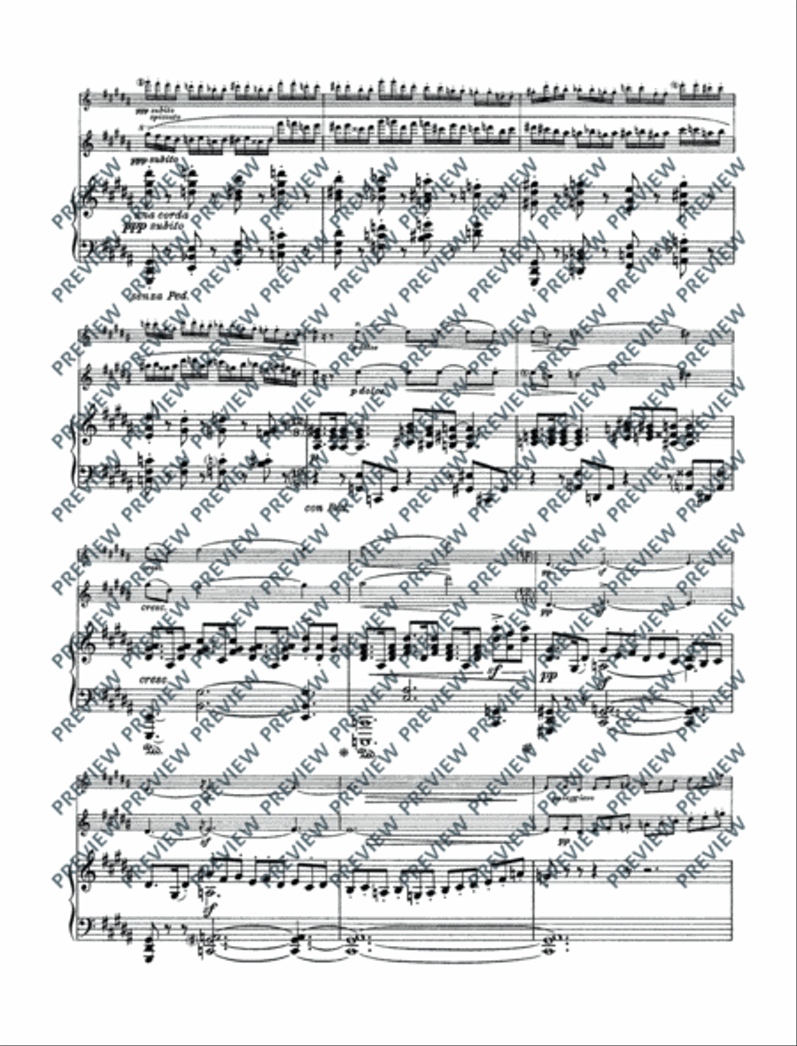 Variations on a theme by Edvard Grieg Violin Solo scores gallery preview page 17