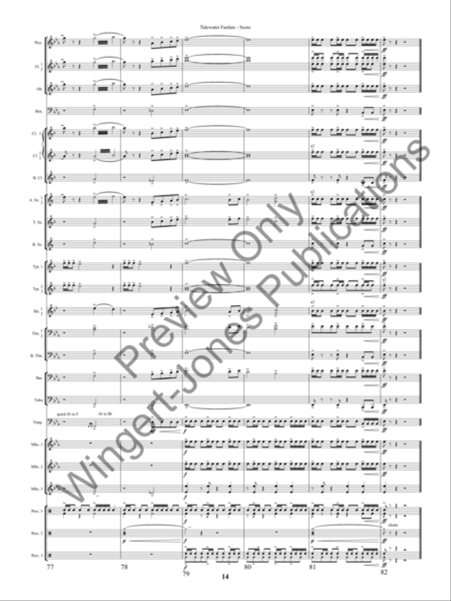 Tidewater Fanfre (Score) Tidewater Fanfre (Score) Concert Band scores gallery preview page 17