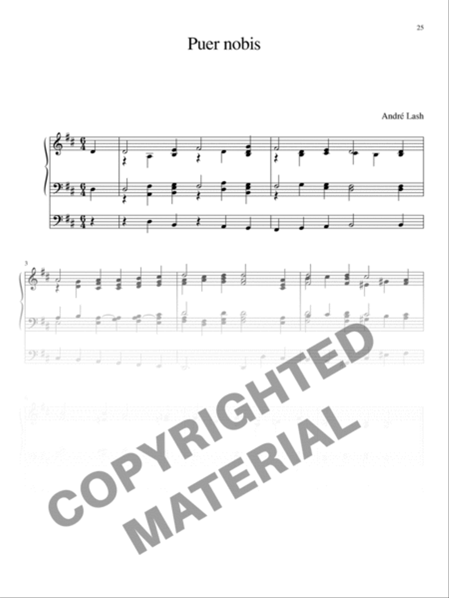 30 Reharmonizations for Organ Organ Solo scores gallery preview page 19