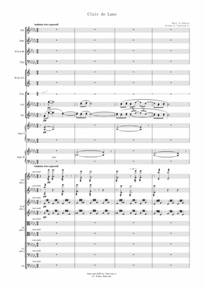 Clair de Lune for Chamber Orchestra