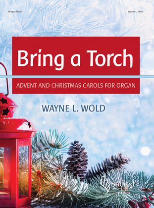 Book cover for Bring a Torch
