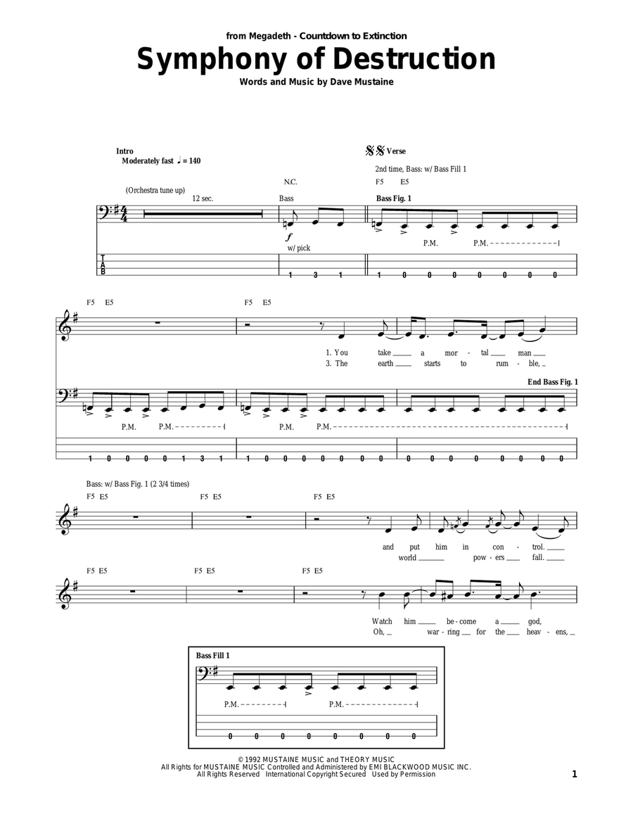 Symphony Of Destruction Acoustic Guitar scores gallery preview page 1