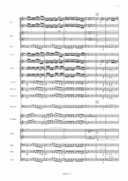 Bassoon Concerto in B-flat major (A4)