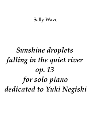 Book cover for Sunshine droplets falling in the quiet river op. 13
