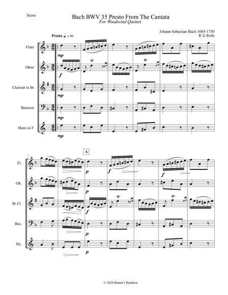 Bach BWV 35 Presto From The Cantata in D Minor Quintet