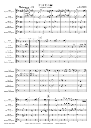 For Elise - Ludwig van Beethoven - Saxophone Quintet