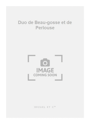 Book cover for Duo de Beau-gosse et de Perlouse