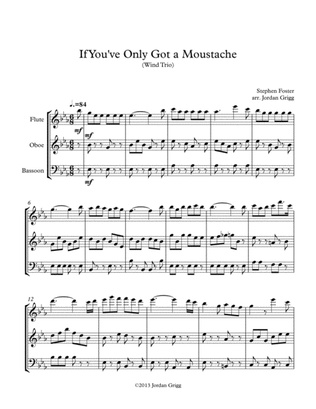 If You've Only Got a Moustache (Wind Trio)