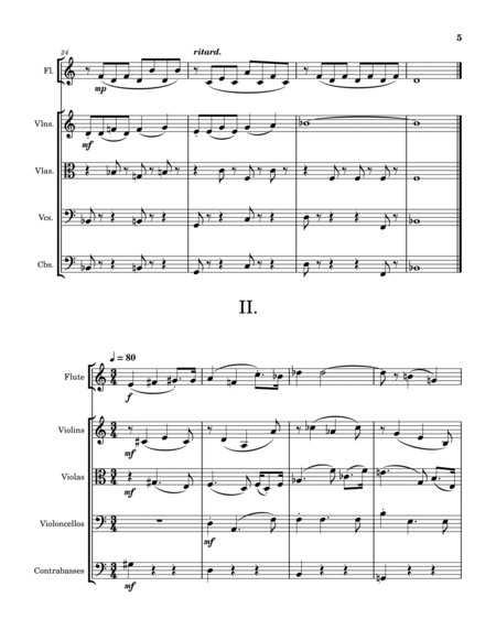 Concertino for Flute and String Ensemble image number null