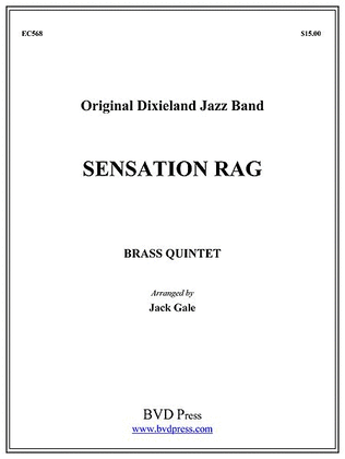 Book cover for Sensation Rag