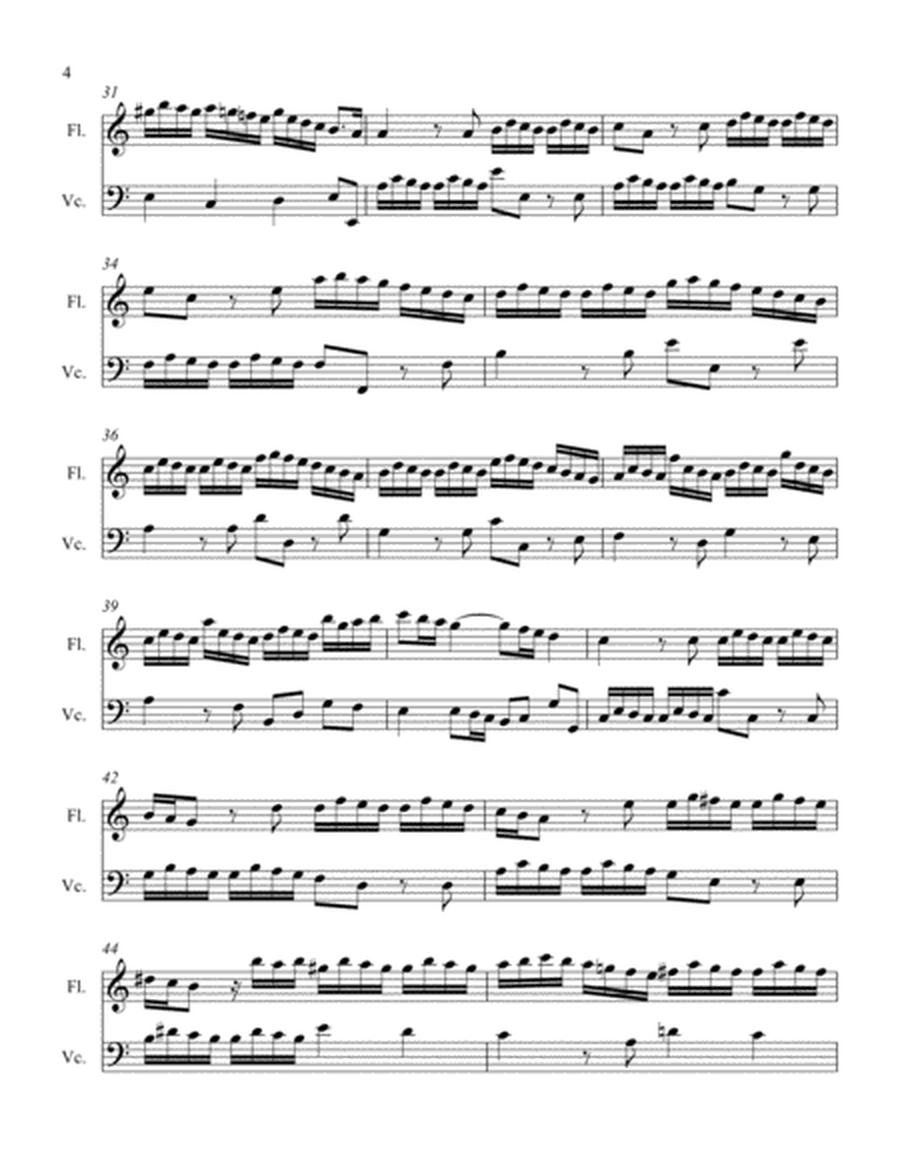 Sonata foe Flute and Cello