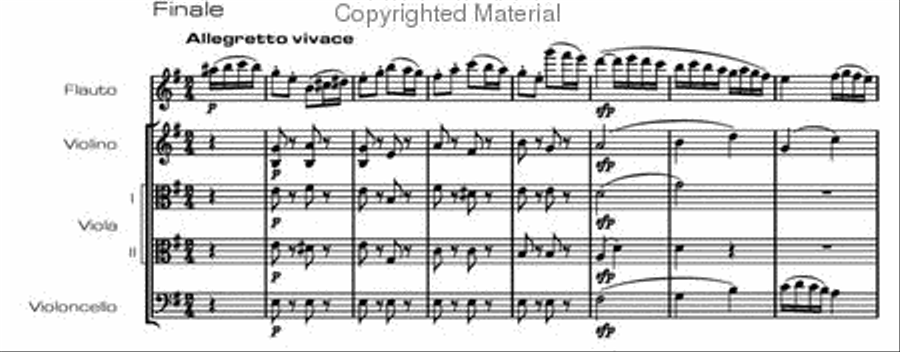 Flute quintet in E minor (Op. 41/1) Flute scores gallery preview page 5