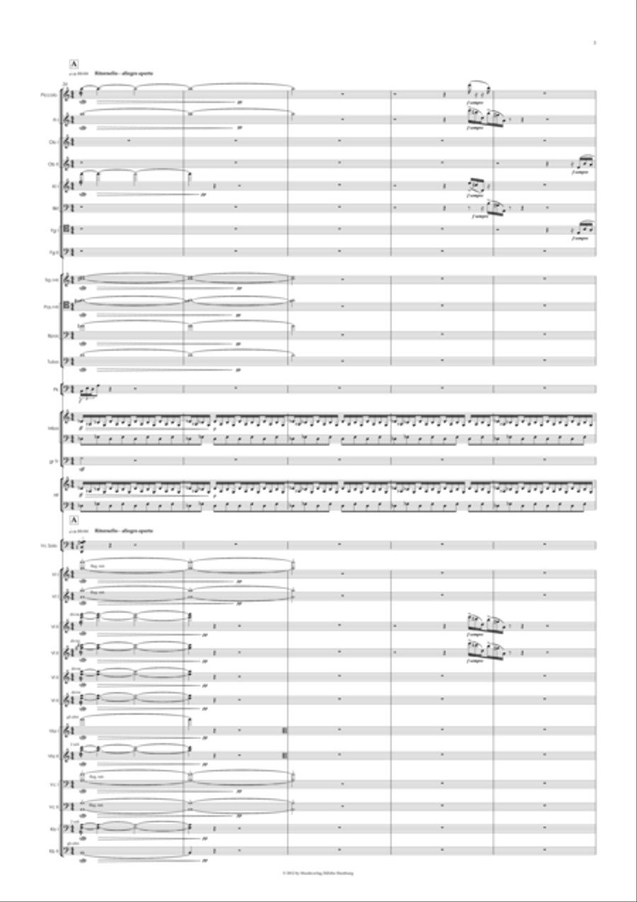 Sturm Stoff Traeume Full Orchestra scores gallery preview page 5