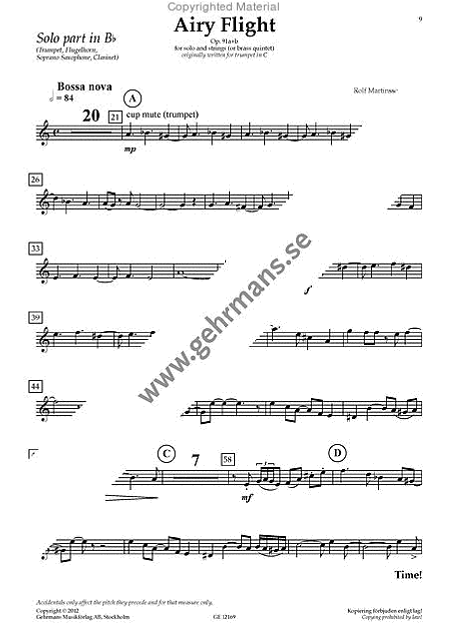 Airy Flight (Solo part) String Orchestra scores gallery preview page 5