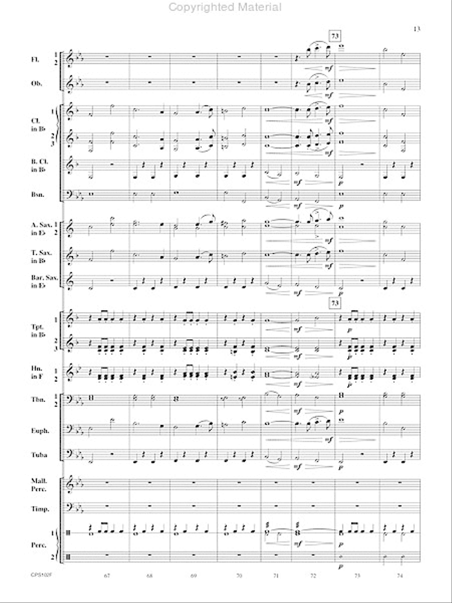 Rifle Regiment Rifle Regiment Concert Band scores gallery preview page 14