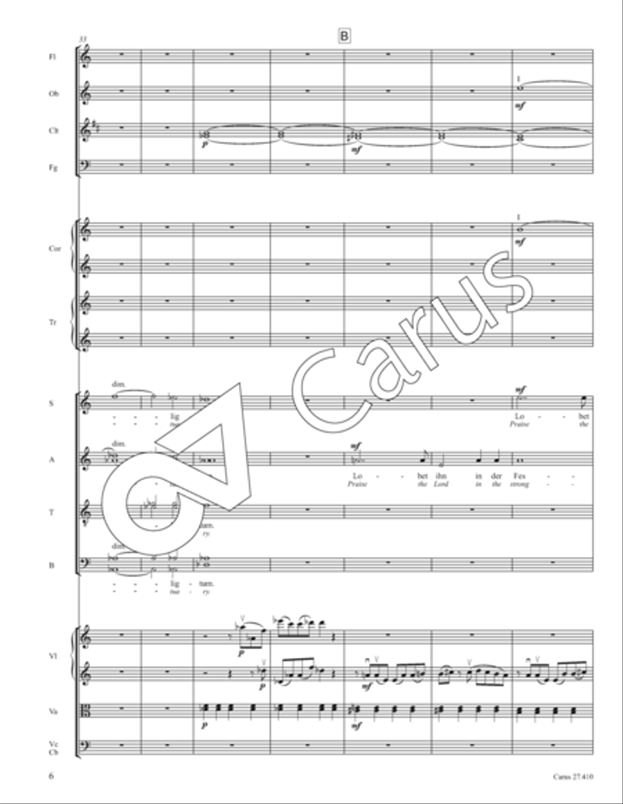 Psalm 150: Halleluja! Lobet den Herrn in seinem Heiligtum Orchestra scores gallery preview page 11