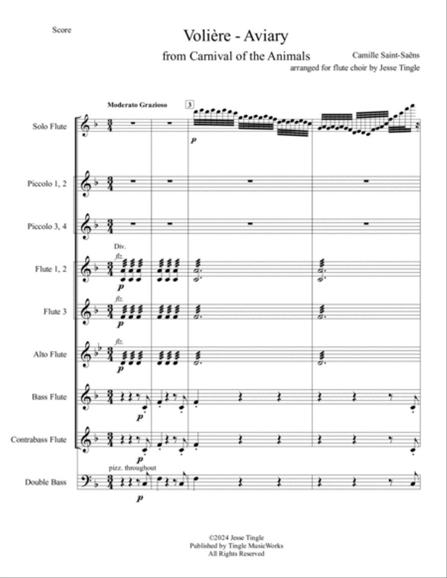 Volière - Aviary from Carnival of the Animals Flute Choir scores gallery preview page 5