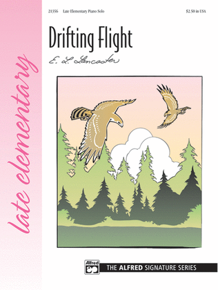 Book cover for Drifting Flight