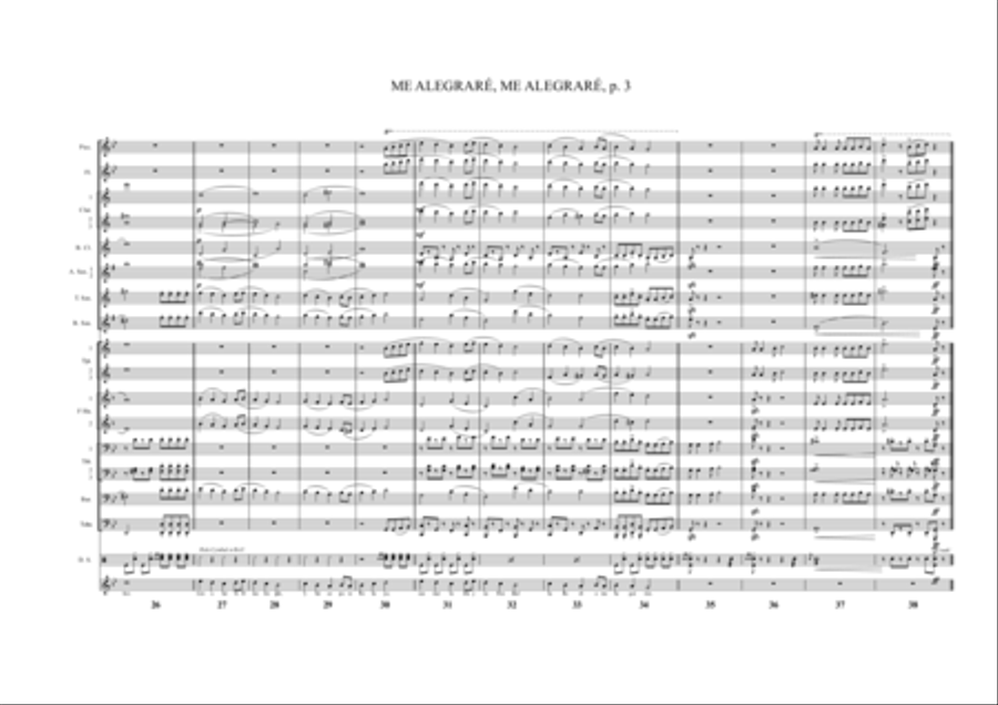 Me Alegraré, Me Alegraré Me Alegraré, Me Alegraré Marching Band scores gallery preview page 5