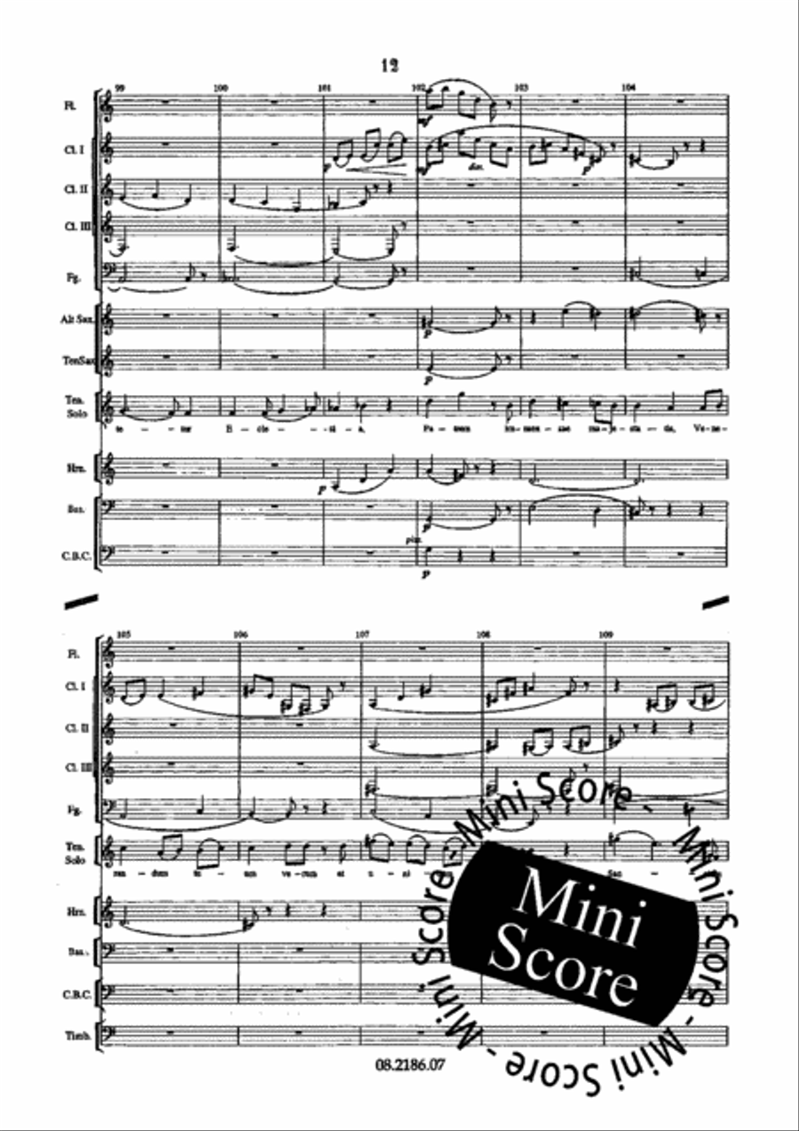 Te Deum Te Deum TTBB scores gallery preview page 17