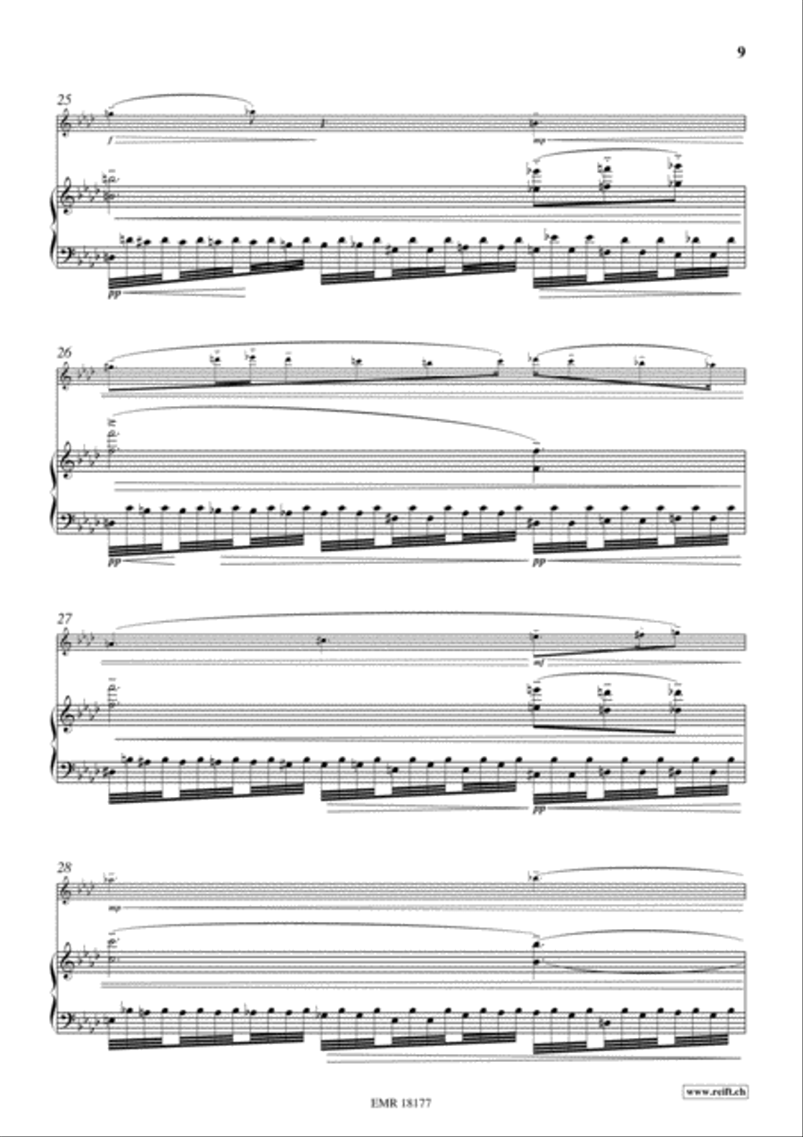 Aiqing Shenghuo Zhi Quan Flute Solo scores gallery preview page 9
