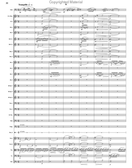 Concerto for Tuba image number null