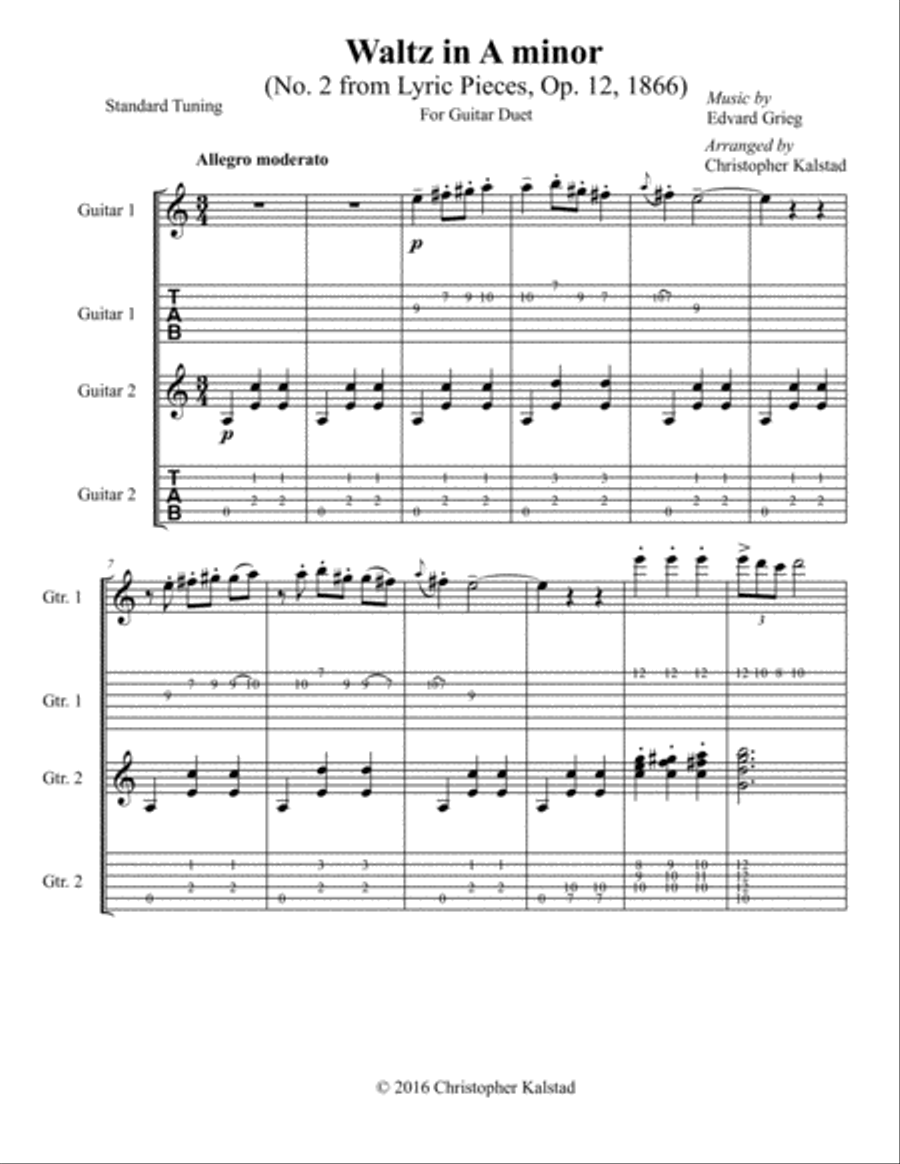 Waltz in A minor (Grieg - Guitar Duet) Classical Guitar scores gallery preview page 2