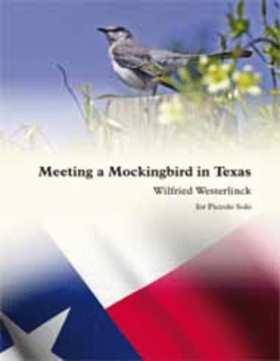 Meeting a Mockingbird in Texas for Solo Piccolo