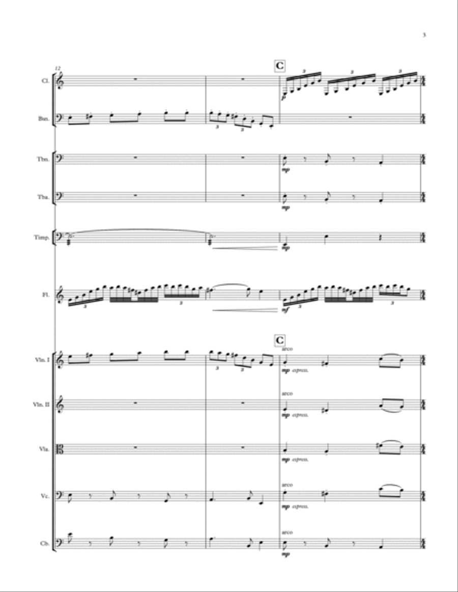 Dance for the Moon (Version for Flute and Symphonic Orchestra) Full Orchestra scores gallery preview page 3