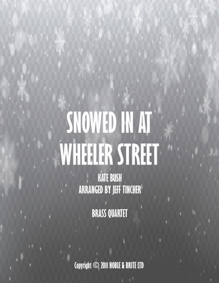 Snowed In At Wheeler Street