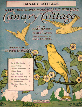 Canary Cottage