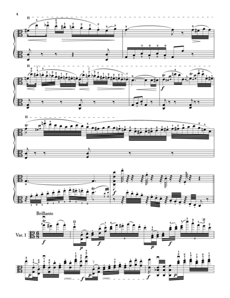 Introduction and Variations on "Nel Cor Piu Non Mi Sento", transcribed for Viola