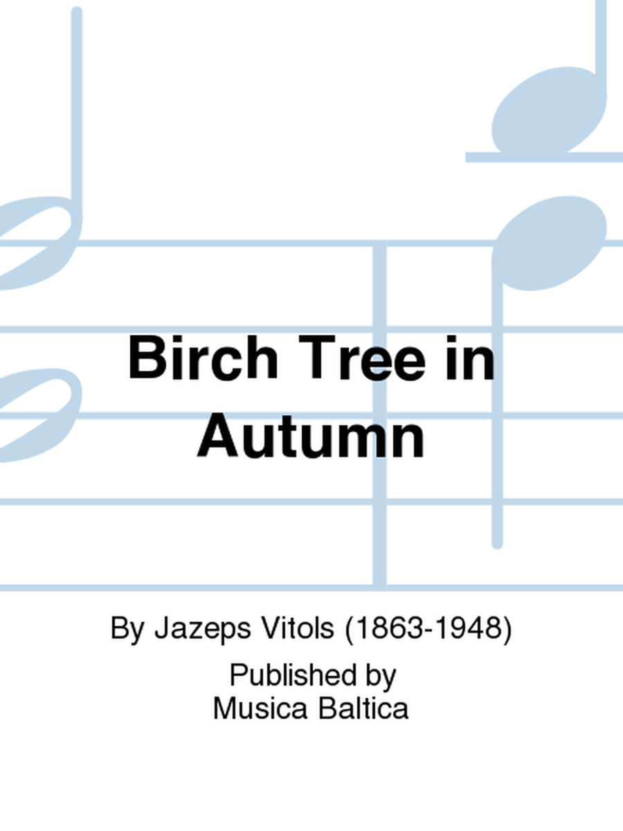 Birch Tree in Autumn