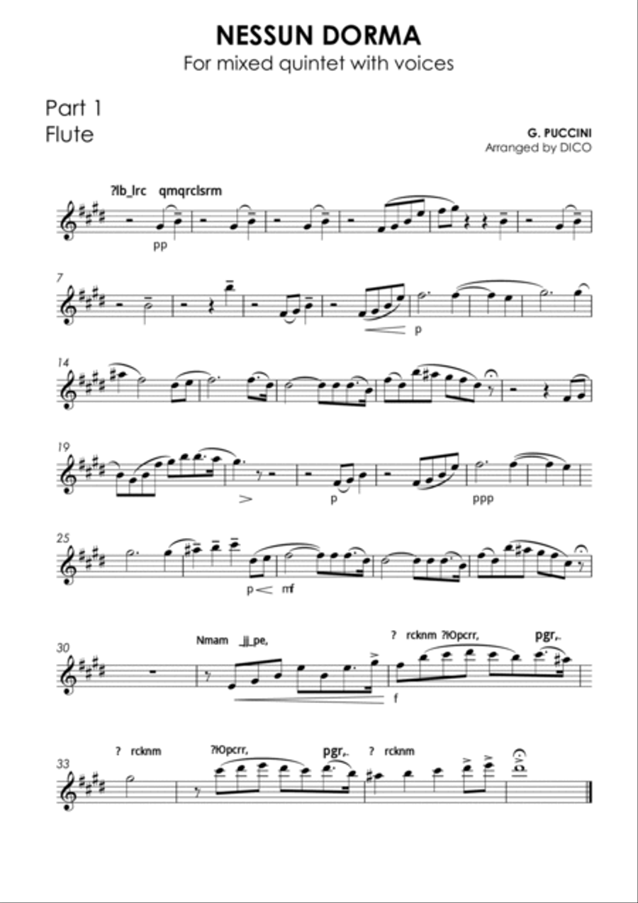 NESSUN DORMA (in E) - for voices & flexible quintet Small Ensemble scores gallery preview page 6