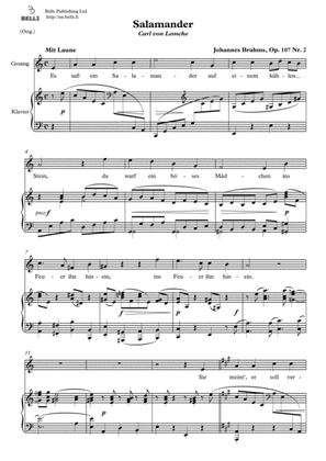 Book cover for Salamander, Op. 107 No. 2 (Original key. A minor)