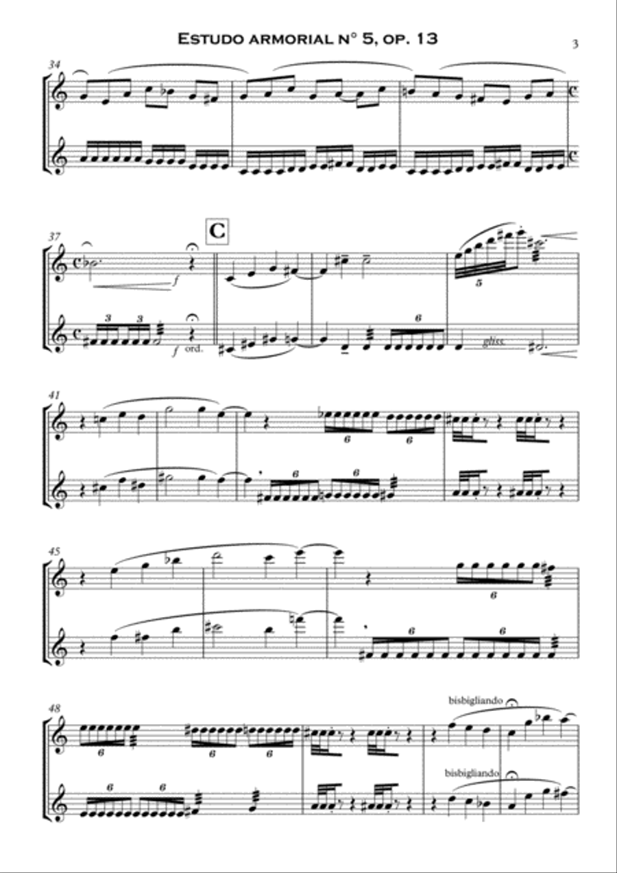 Estudo armorial n° 5, op.13 - for flute duo Flute Duet scores gallery preview page 3