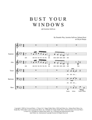 Book cover for Bust Your Windows