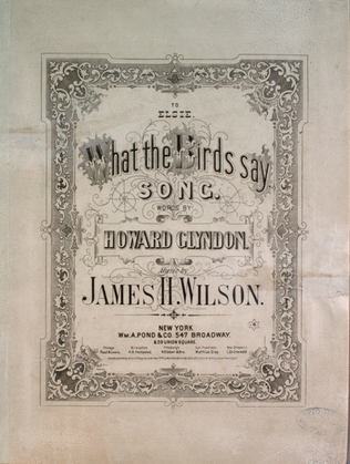 Book cover for What the Birds Say. Song