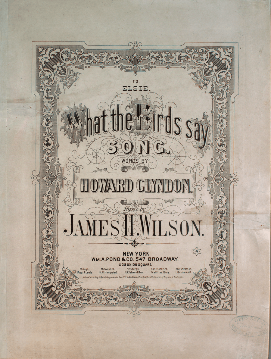 What the Birds Say. Song