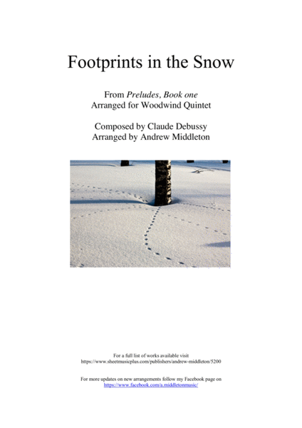 Footprints in the Snow arranged for Woodwind Quintet image number null