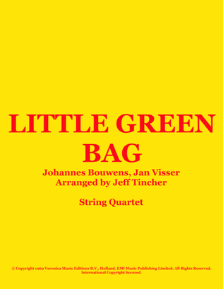Book cover for Little Green Bag