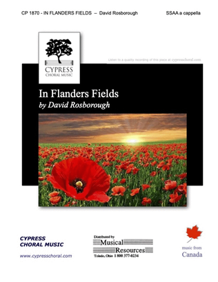 Book cover for In Flanders Fields - by David Rosborough