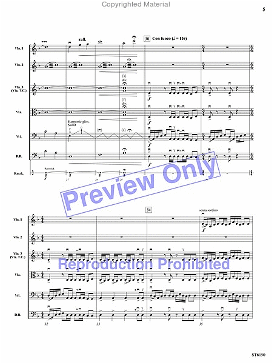 Lion City String Orchestra scores gallery preview page 4