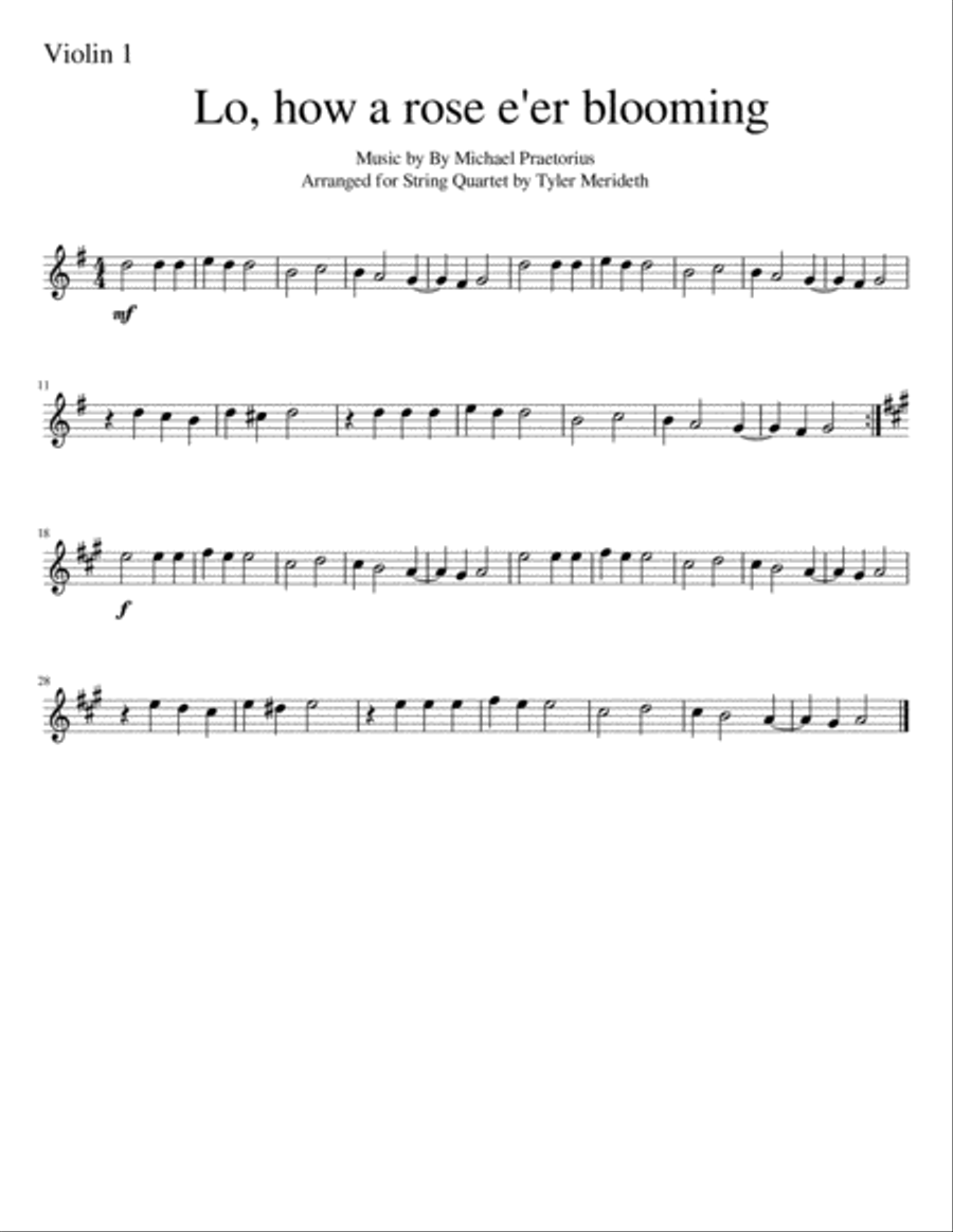 Lo, How A Rose E'er Blooming for String Quartet String Quartet scores gallery preview page 4
