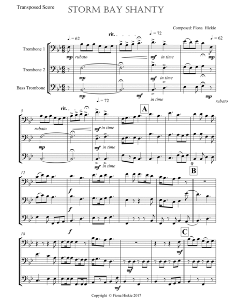 Storm Bay Shanty Brass Ensemble scores gallery preview page 2